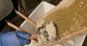 ijdb2315.jpeg ijdb2315.jpeg