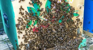 sztd5626.jpeg sztd5626.jpeg