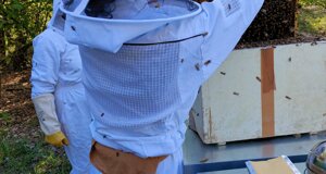 img_e1798.jpeg img_e1798.jpeg