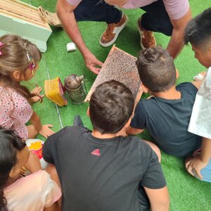 img_7803.jpeg img_7803.jpeg