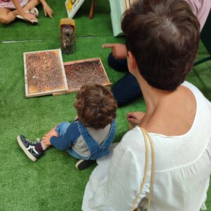 img_7800.jpeg img_7800.jpeg