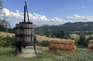 img_4931.jpeg