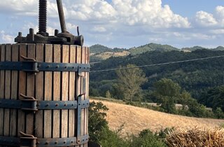 img_4920.jpeg