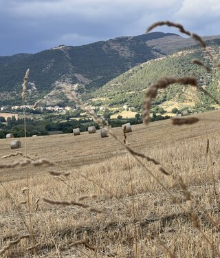 img_4980.jpeg