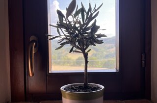 img_4940.jpeg