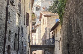 img_5142.jpeg