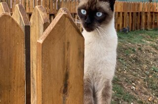 img_4989.jpeg