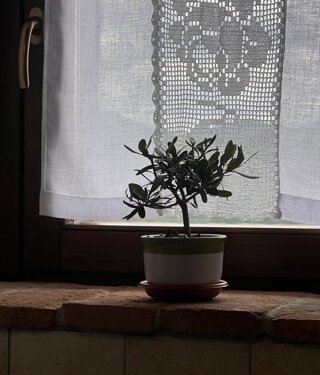 img_4951.jpeg