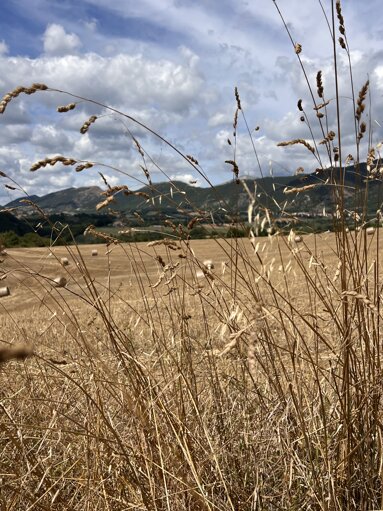 img_4999.jpeg