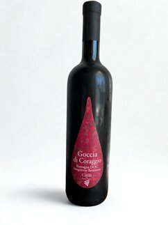 goccia di coraggio - sfondo bianco.jpeg