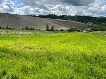tenuta canali - foto generale.jpeg tenuta canali - foto generale.jpeg