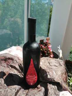sangiovese-terrazza.jpeg