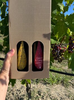 confezione regalo-albana e sangiovese.jpeg