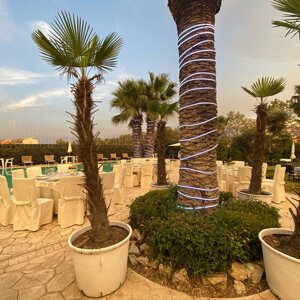 hotel_venusia_ricevimenti_3.jpeg