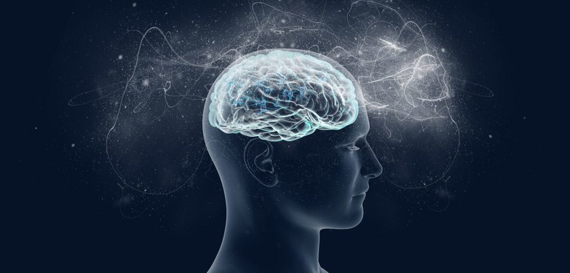 cosa-è-la-neuropsicologia-1000x400@2x.jpeg cosa-è-la-neuropsicologia-1000x400@2x.jpeg