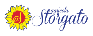logo_solodisegno