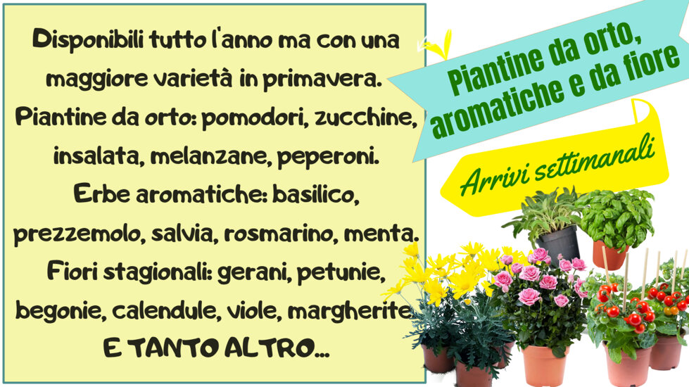 piantine slide sito web.jpeg