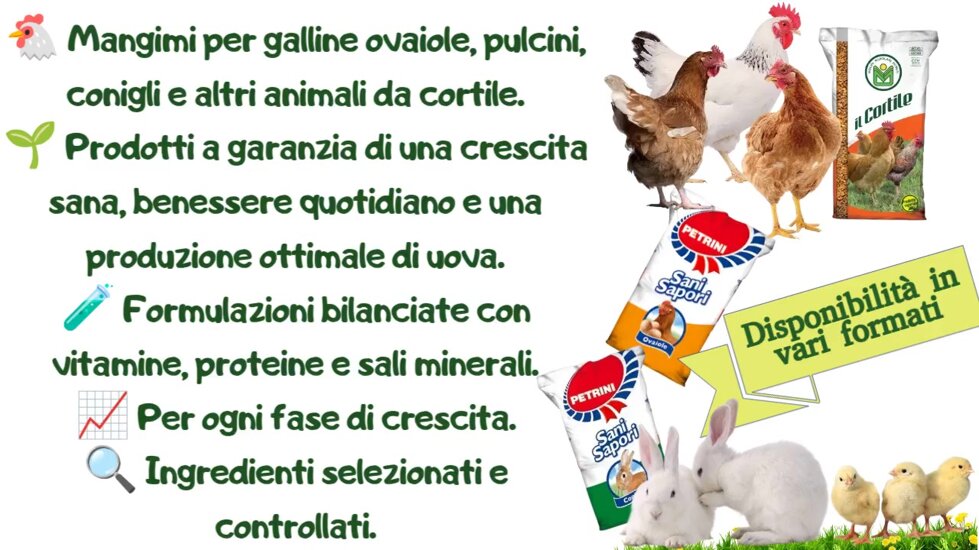 slide mangimi galline conigli sito web.jpeg