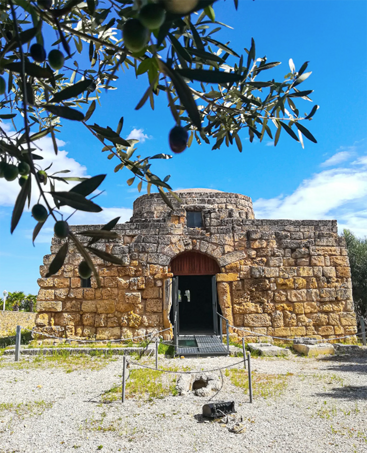 s.-maria-di-crepacore-torre-santa-susanna s.-maria-di-crepacore-torre-santa-susanna
