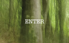 dimensions dimensions