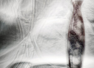 foto00179.jpeg foto00179.jpeg