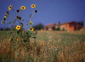 foto00304.jpeg foto00304.jpeg