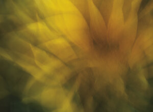 foto00169%20copia.jpeg