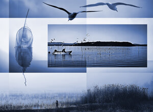 foto00312.jpeg foto00312.jpeg