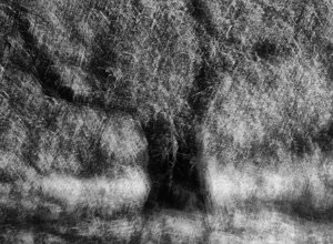 foto00316.jpeg foto00316.jpeg