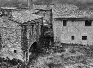 1574013706dspj3batocchi_fabio_ulivo.jpeg