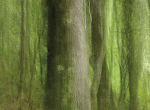 foto00159%20copia.jpeg
