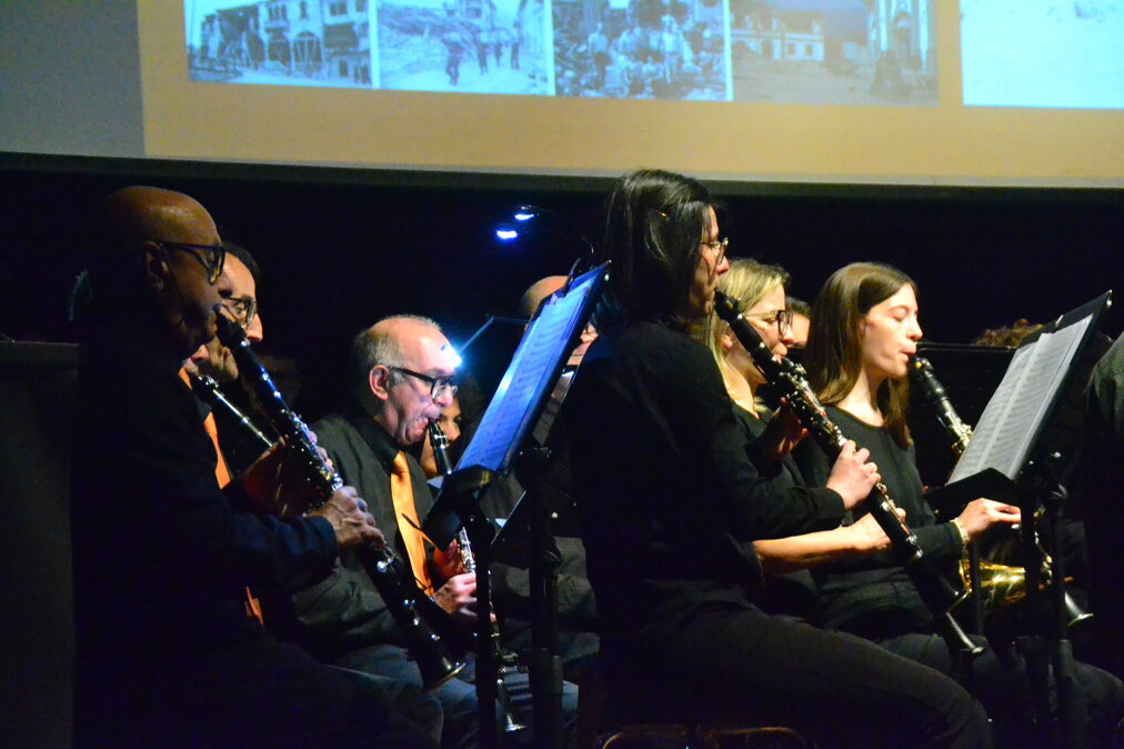 dsc_0035.jpeg dsc_0035.jpeg