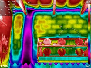 flir0076.jpeg flir0076.jpeg