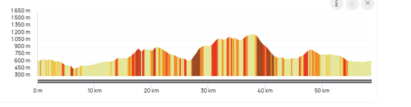 marathon 2026 altimetria