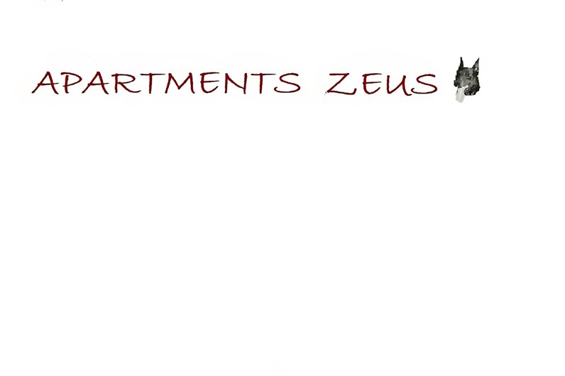 scritta logo.jpeg