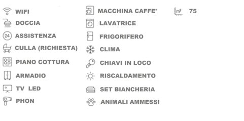 servizi agnolo.jpeg