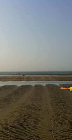 l'ion.jpeg l'ion.jpeg