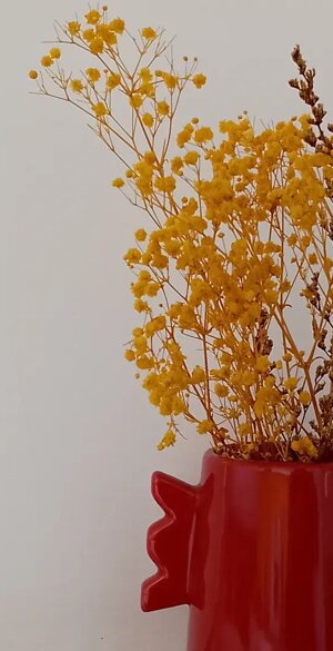 1000022984.jpeg 1000022984.jpeg