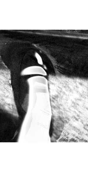 incontriamoci_sul_tetto_dariasimonaruffino_inserto incontriamoci_sul_tetto_dariasimonaruffino_inserto