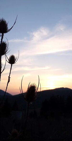 fotografia.jpeg fotografia.jpeg