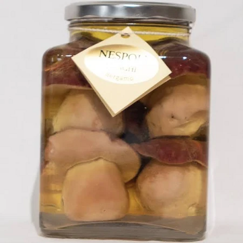 funghi-misti