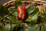 nduja