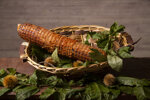 capocollo