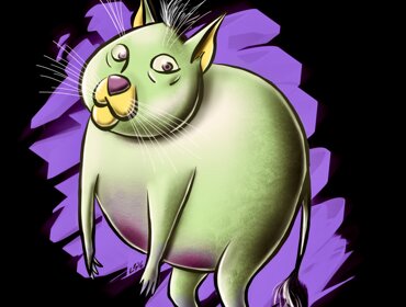 img_3594.jpeg img_3594.jpeg