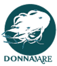 tavola disegno 1 copia 2