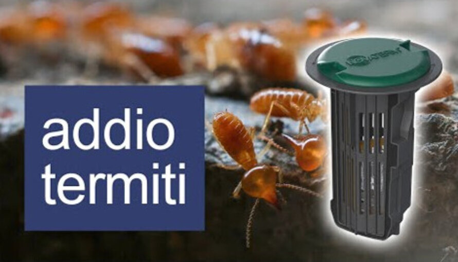 hqdefault - modificata.jpeg hqdefault - modificata.jpeg