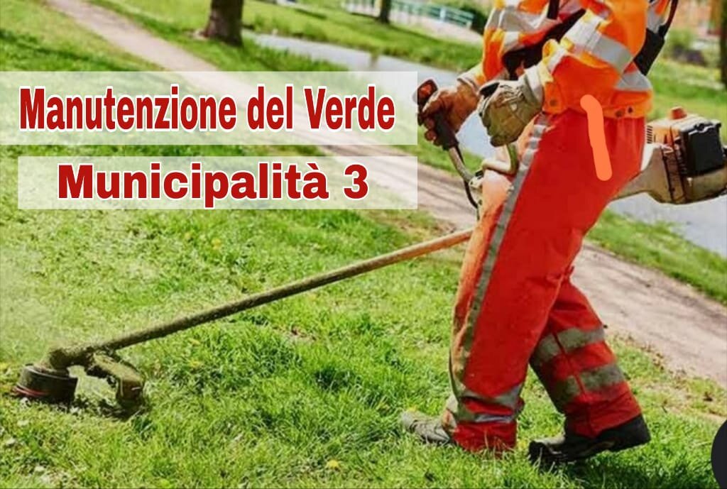 Manutenzione del Verde Municipalita 3