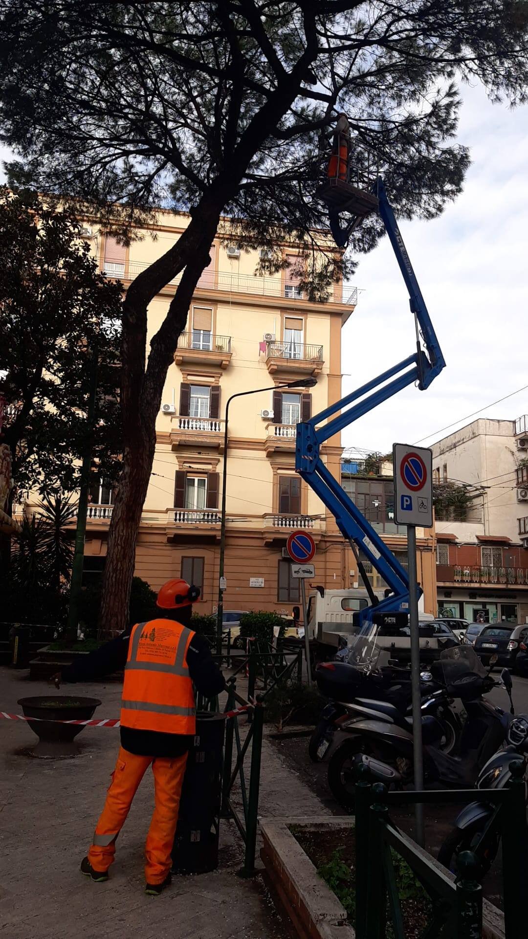 alberi.jpeg alberi.jpeg