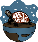 turtle_480