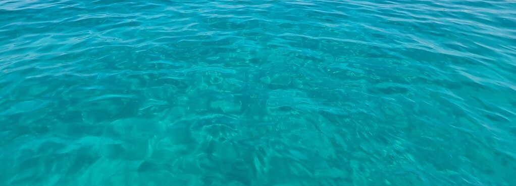 20230818_114845_mare.jpeg